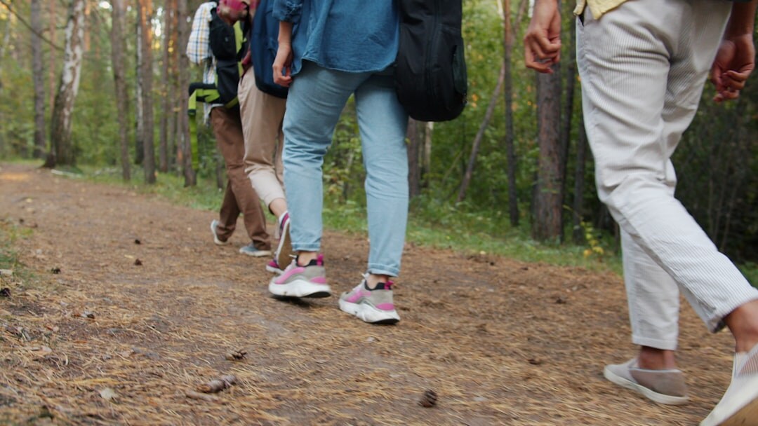 group hiking in nature