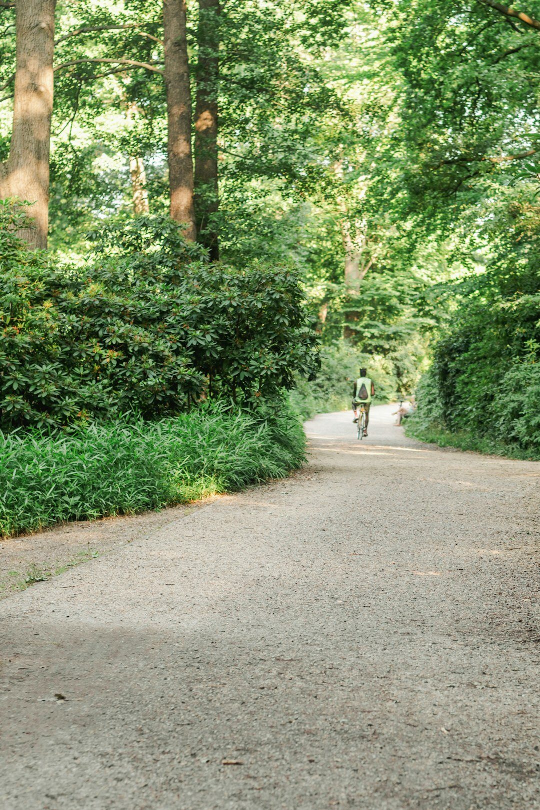 Active senior woman cycling on a scenic path